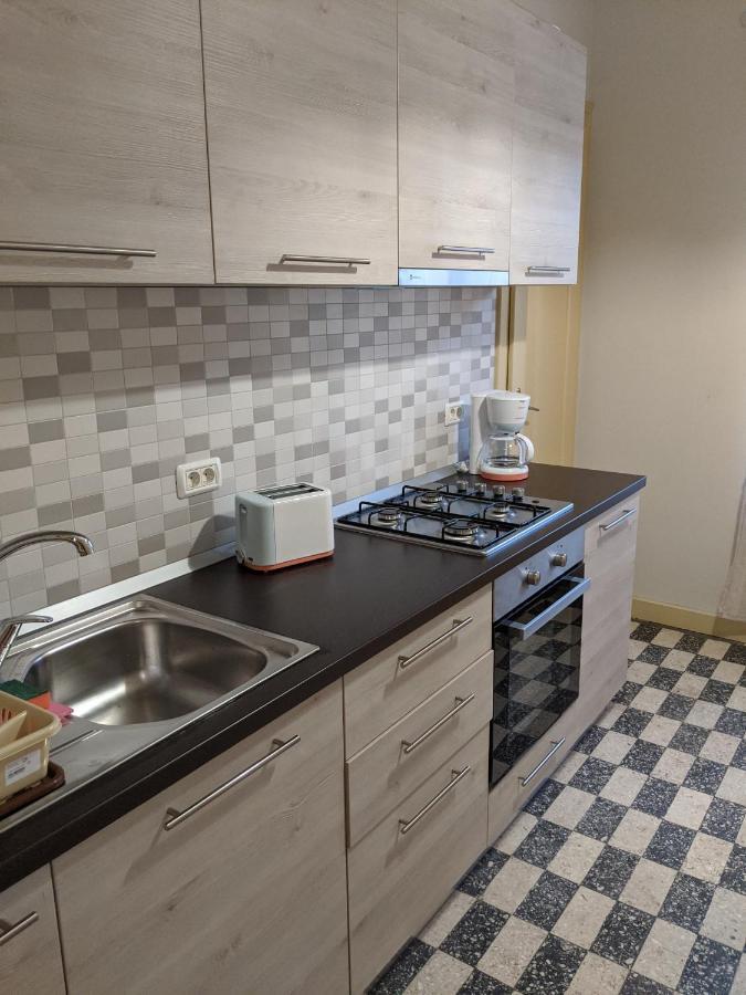 Cristian Apartment Near Old Town Temešvár Exteriér fotografie