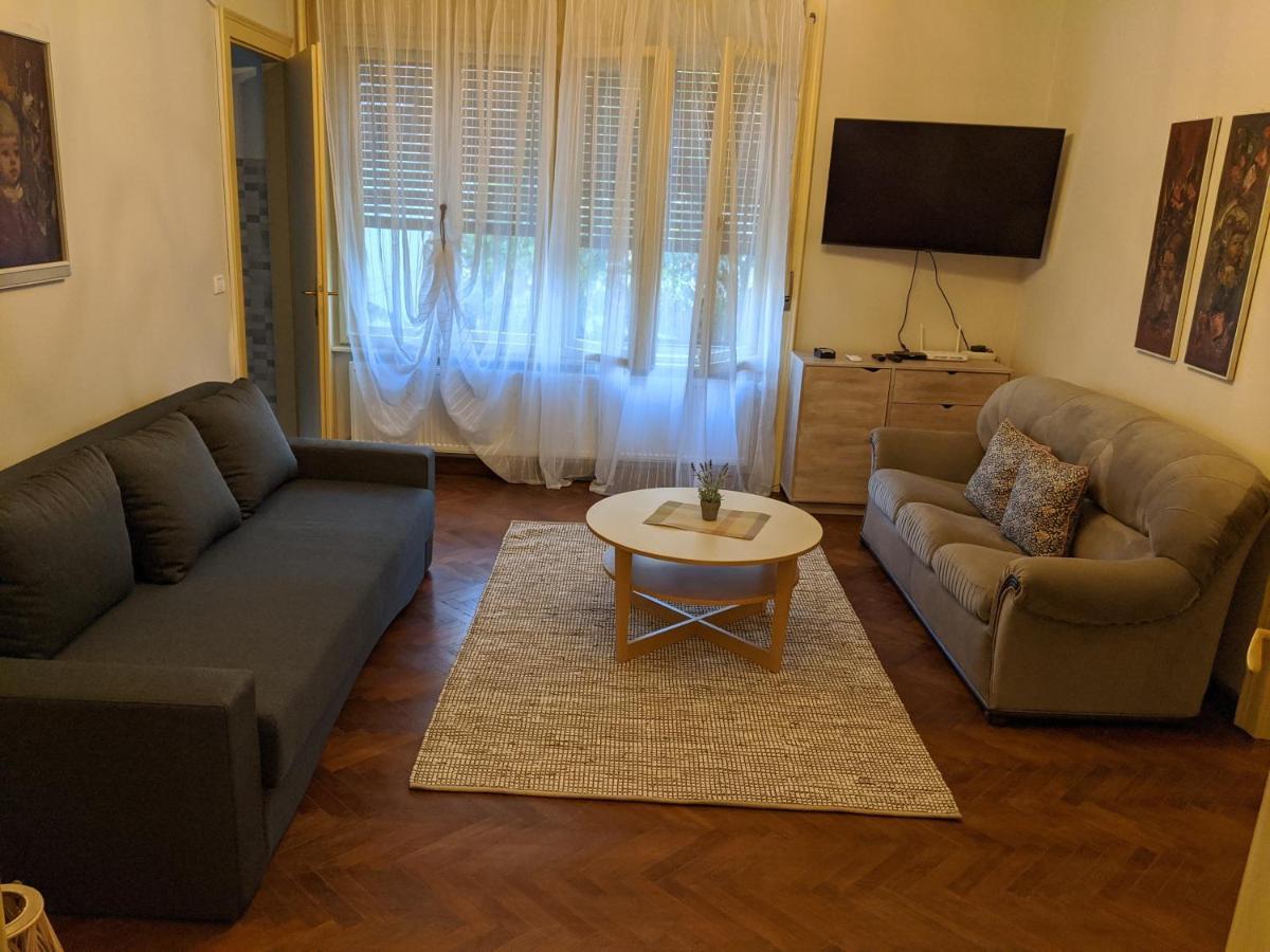 Cristian Apartment Near Old Town Temešvár Exteriér fotografie